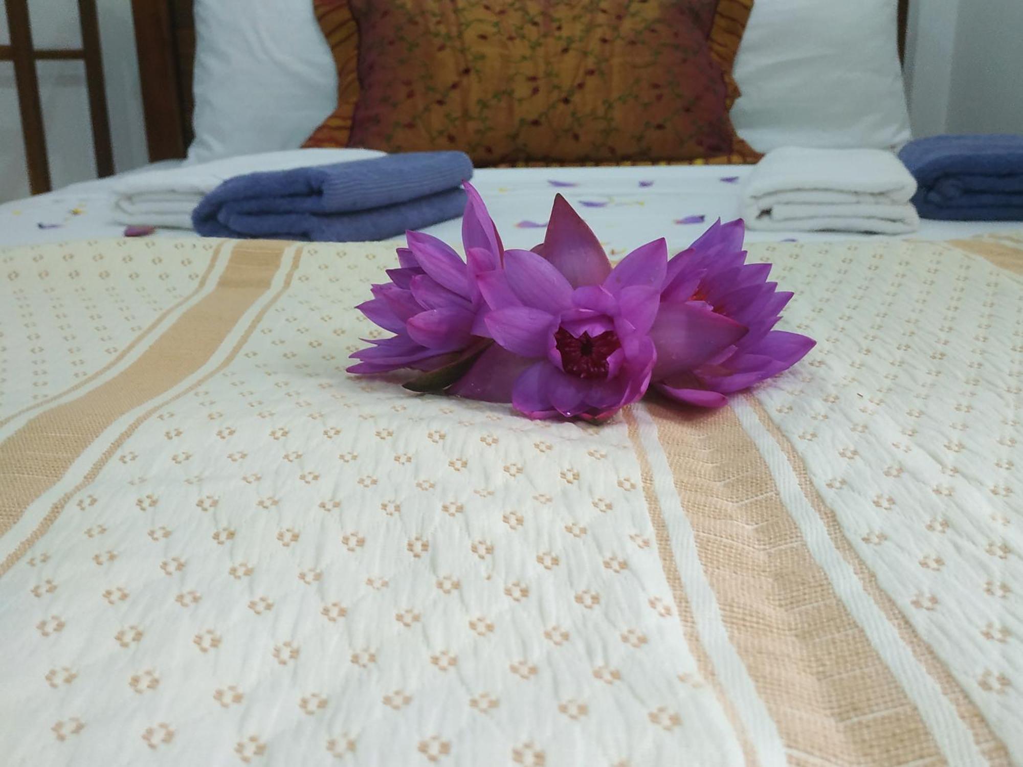 Four Seasons Safari Resort Udawalawa اوداوالاوي المظهر الخارجي الصورة