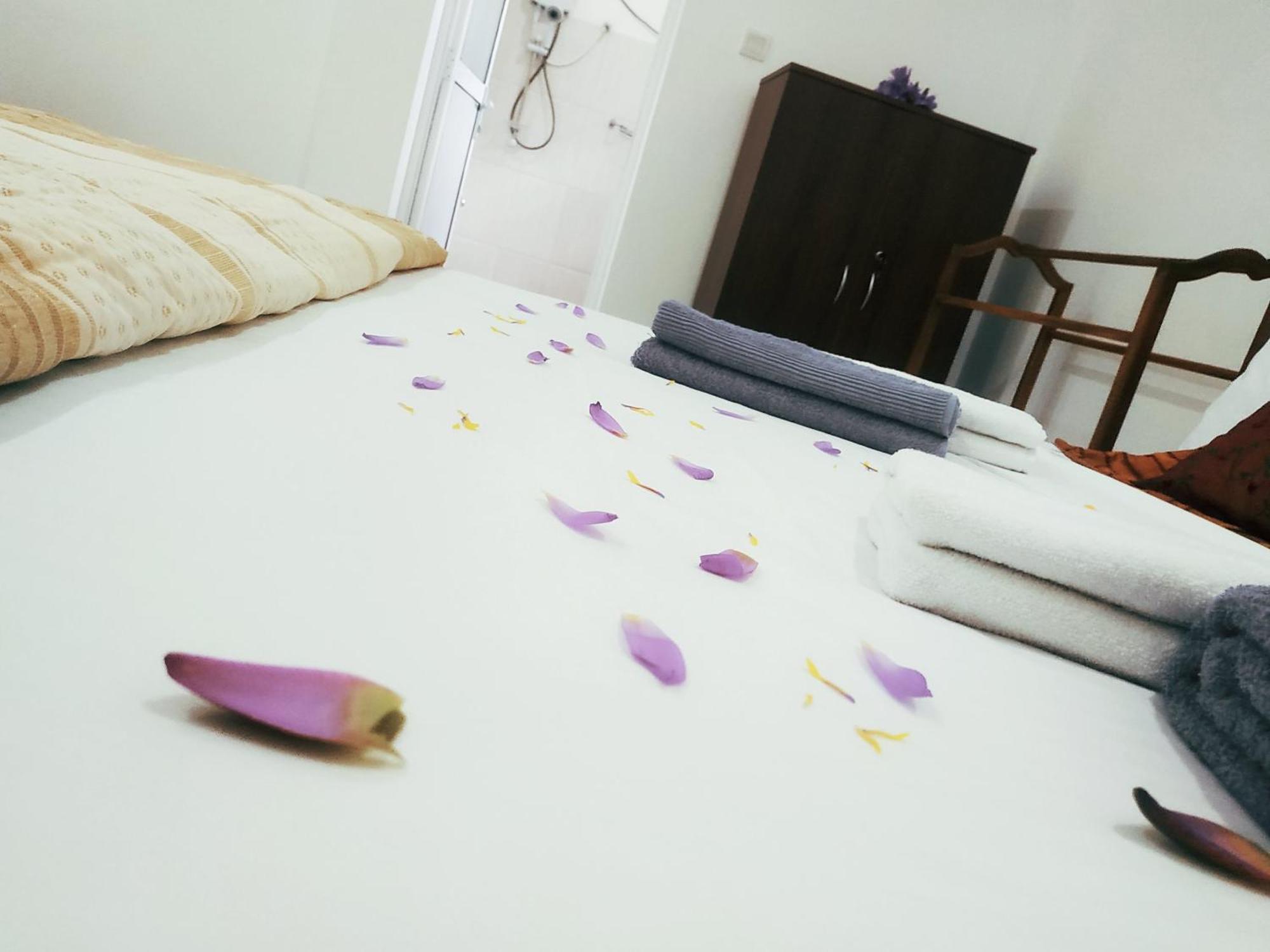 Four Seasons Safari Resort Udawalawa اوداوالاوي المظهر الخارجي الصورة