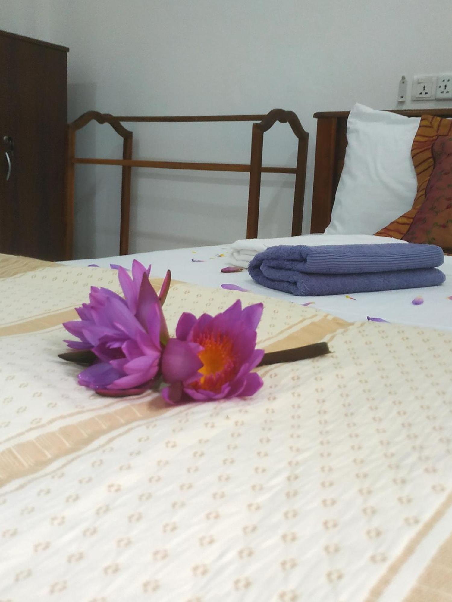 Four Seasons Safari Resort Udawalawa اوداوالاوي المظهر الخارجي الصورة